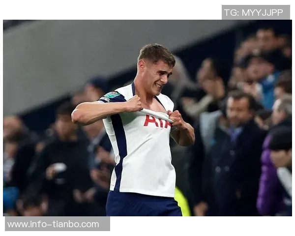 赖特观察到图多尔寻求与范德芬沟通却被冷落局势堪忧